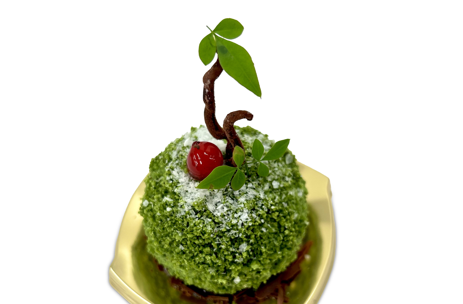 苔玉（初雪）